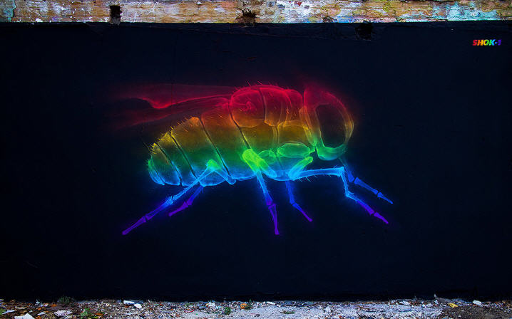 Rainbow Anatomy by Shok Oner - MF 1